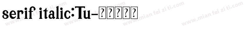 serif italic:Tu字体转换